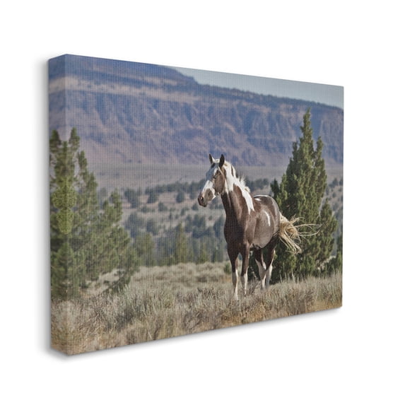 Stupell Industries Wild Horse Southwestern Landscape Canyon Cliffs Cabin Photography Gallery-Wrapped Canvas Print Wall Art, 24 x 30, Design by Larry McFerrin