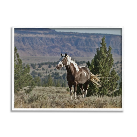 Stupell Industries Wild Horse Southwestern Landscape Canyon Cliffs Cabin Photography White Framed Art Print Wall Art, 24 x 30, Design by Larry McFerrin