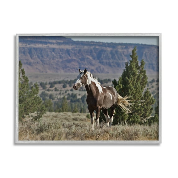 Stupell Industries Wild Horse Southwestern Landscape Canyon Cliffs Photography Gray Framed Art Print Wall Art, 24x30, by Larry McFerrin