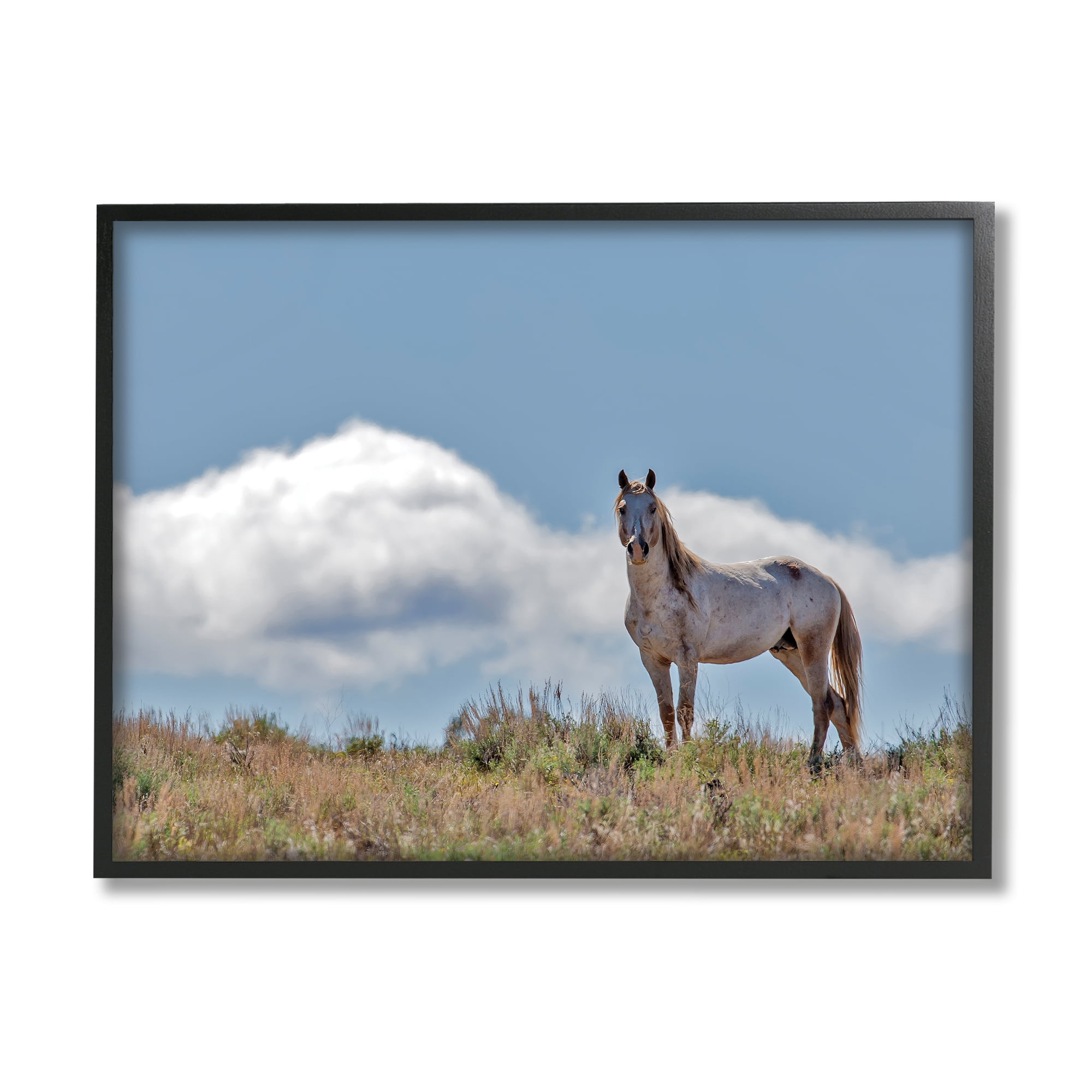 Stupell Industries Wild Horse Standing Strong Along Daytime Cloudy Sky, 16 x 20, Designed by Larry McFerrin