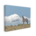 thumbnail image 1 of Stupell Industries Wild Horse Standing Strong Along Daytime Cloudy Sky, 24 x 30, Designed by Larry McFerrin, 1 of 6