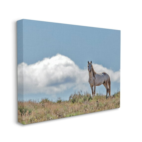 Stupell Industries Wild Horse Standing Strong Along Daytime Cloudy Sky, 24 x 30, Designed by Larry McFerrin