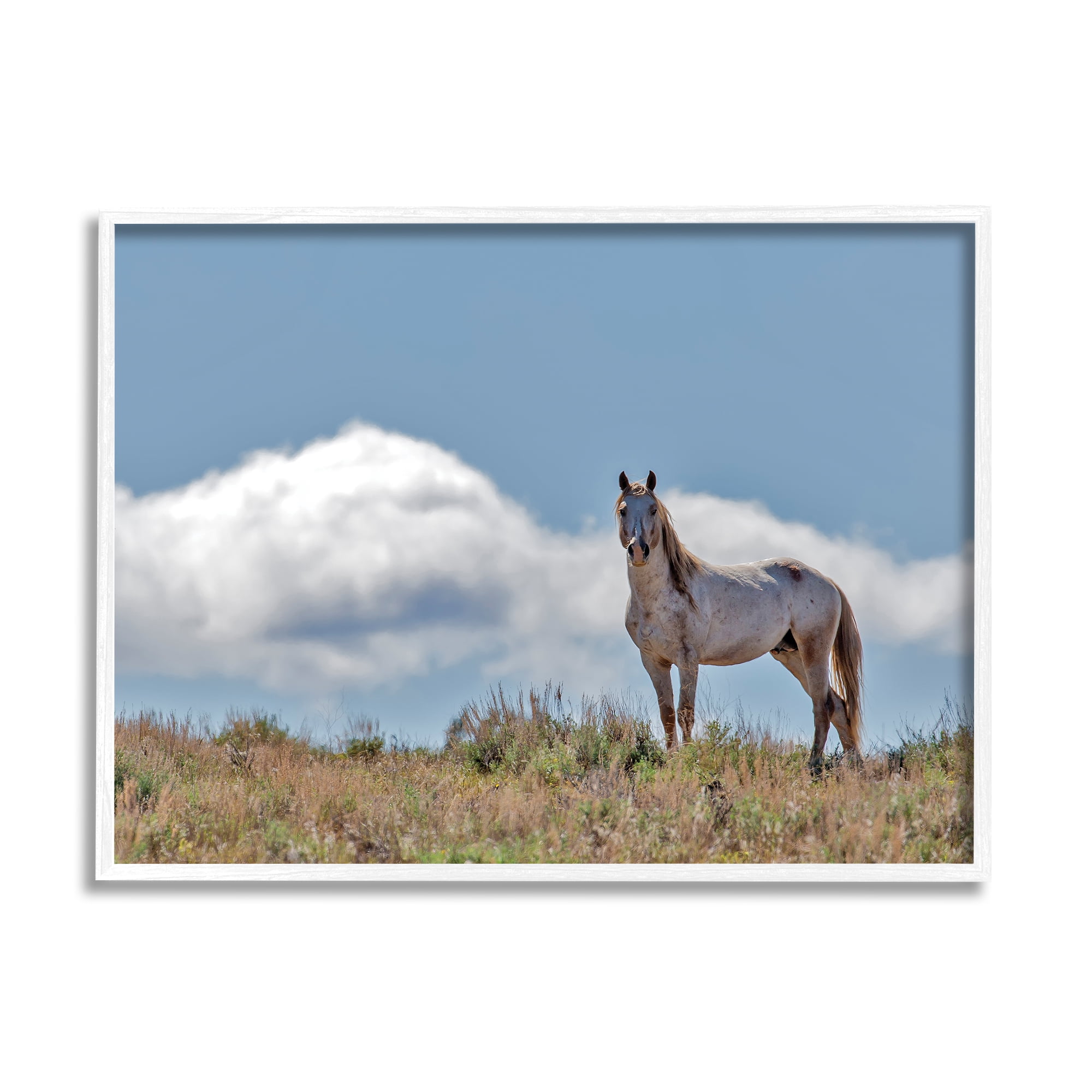 Stupell Industries Wild Horse Standing Strong Along Daytime Cloudy Sky, 24 x 30, Designed by Larry McFerrin