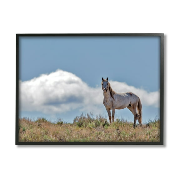 Stupell Industries Wild Horse Standing Strong Along Daytime Cloudy Sky, 24 x 30, Designed by Larry McFerrin
