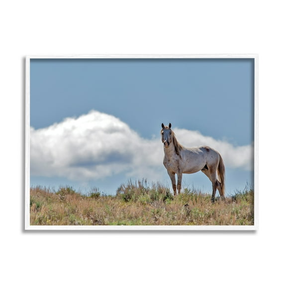 Stupell Industries Wild Horse Standing Strong Along Daytime Cloudy Sky Cabin Photography White Framed Art Print Wall Art, 16 x 20, Design by Larry McFerrin