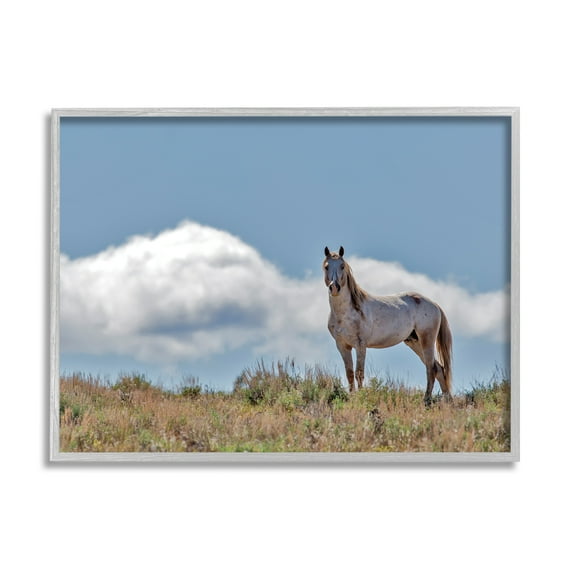 Stupell Industries Wild Horse Standing Strong Along Daytime Cloudy Sky Photography Gray Framed Art Print Wall Art, 11x14, by Larry McFerrin