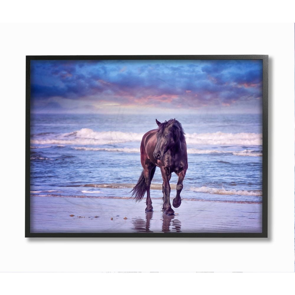 Wild Horse on Beach Blue Sunset Canvas Print with Black Frame