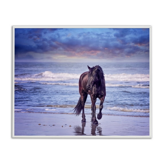 Stupell Industries Wild Horse on Beach Animals & Insects Photography White Framed Art Print Wall Art, 20 x 16