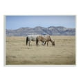 thumbnail image 1 of Stupell Industries Wild Horses Grazing Tall Grass Mountain Countryside Landscape, 19 x 13, Design by Daniel Sproul, 1 of 6