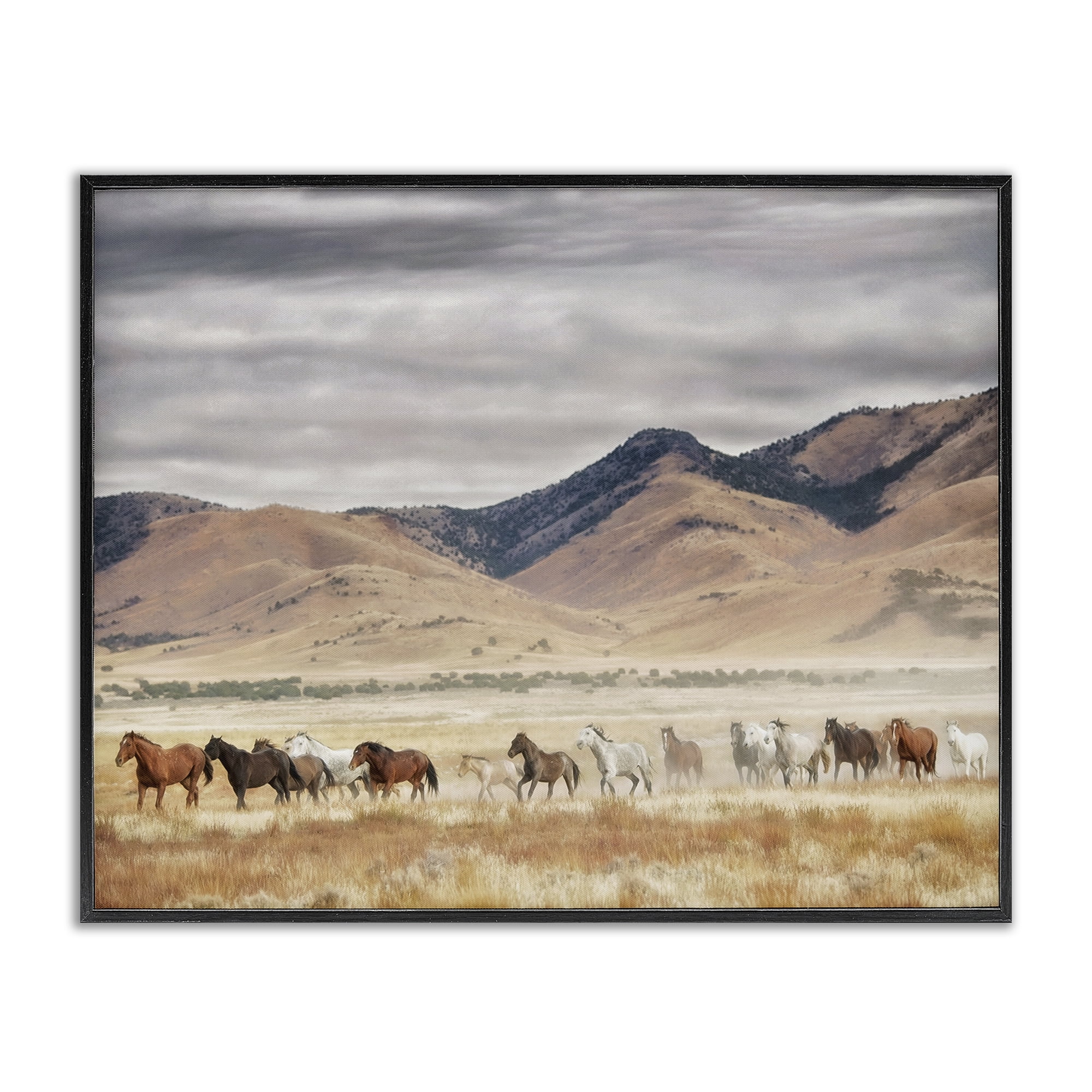 Wild Horses Roaming Across Western Landscape Black Framed Giclee Art, 20 x 16