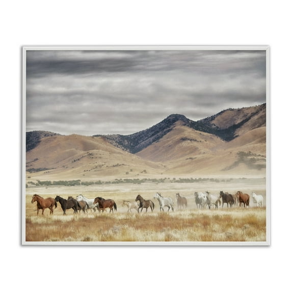 Wild Horses Roaming Across Western Landscape White Framed Giclee Art, 20 x 16, Made In USA