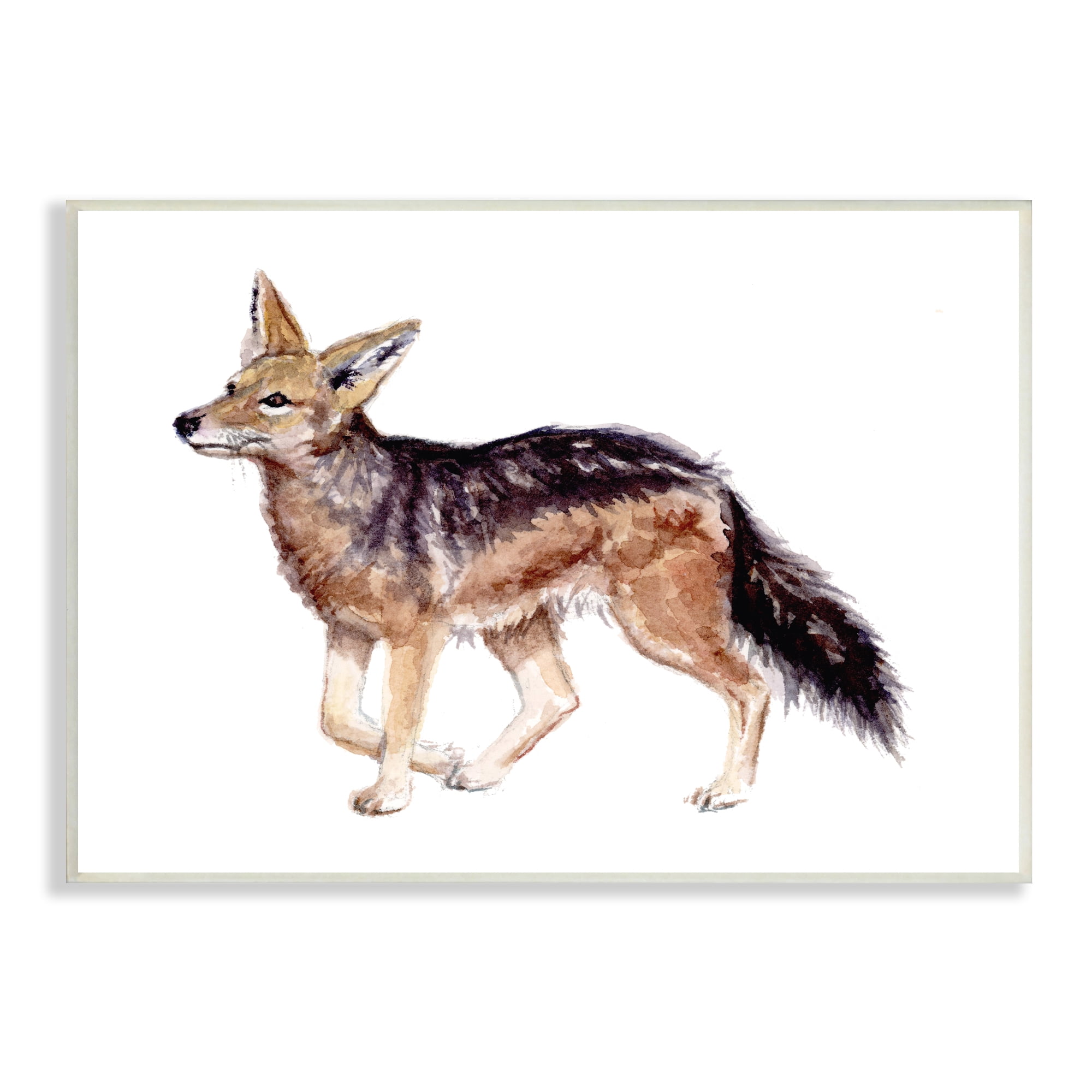 Stupell Industries Wild Jackal Watercolor Portrait Nursery Children's Animal, 19 x 13,Design by Fox Hollow Studios