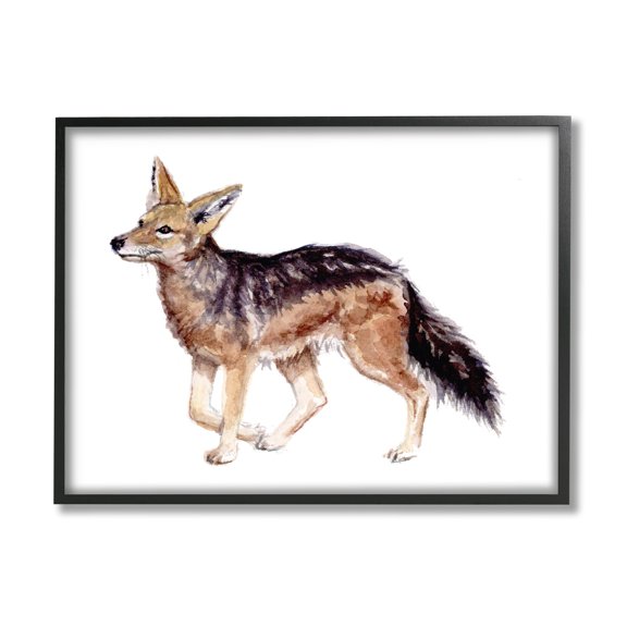 Stupell Industries Wild Jackal Watercolor Portrait Nursery Children's Animal Black Framed Art Print Wall Art, 30x24, by Fox Hollow Studios