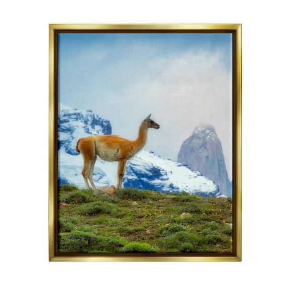 Stupell Industries Wild Llama Photography Animals & Insects Photography Gold Floater Framed Art Print Wall Art, 17 x 21