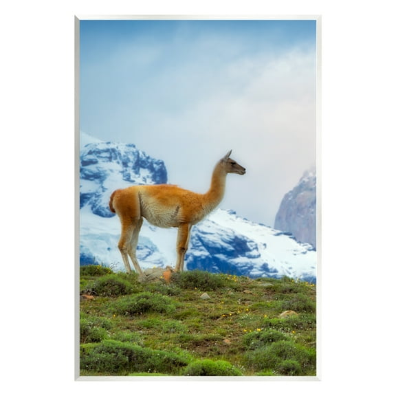 Stupell Industries Wild Llama Photography Animals & Insects Photography Unframed Art Print Wall Art, 10 x 15