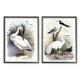 thumbnail image 1 of Stupell Industries Wild Pelican Birds Avian Waterside Landscape Graphic Art Black Framed Art Print Wall Art, Set of 2, Design by Piddix, 1 of 5