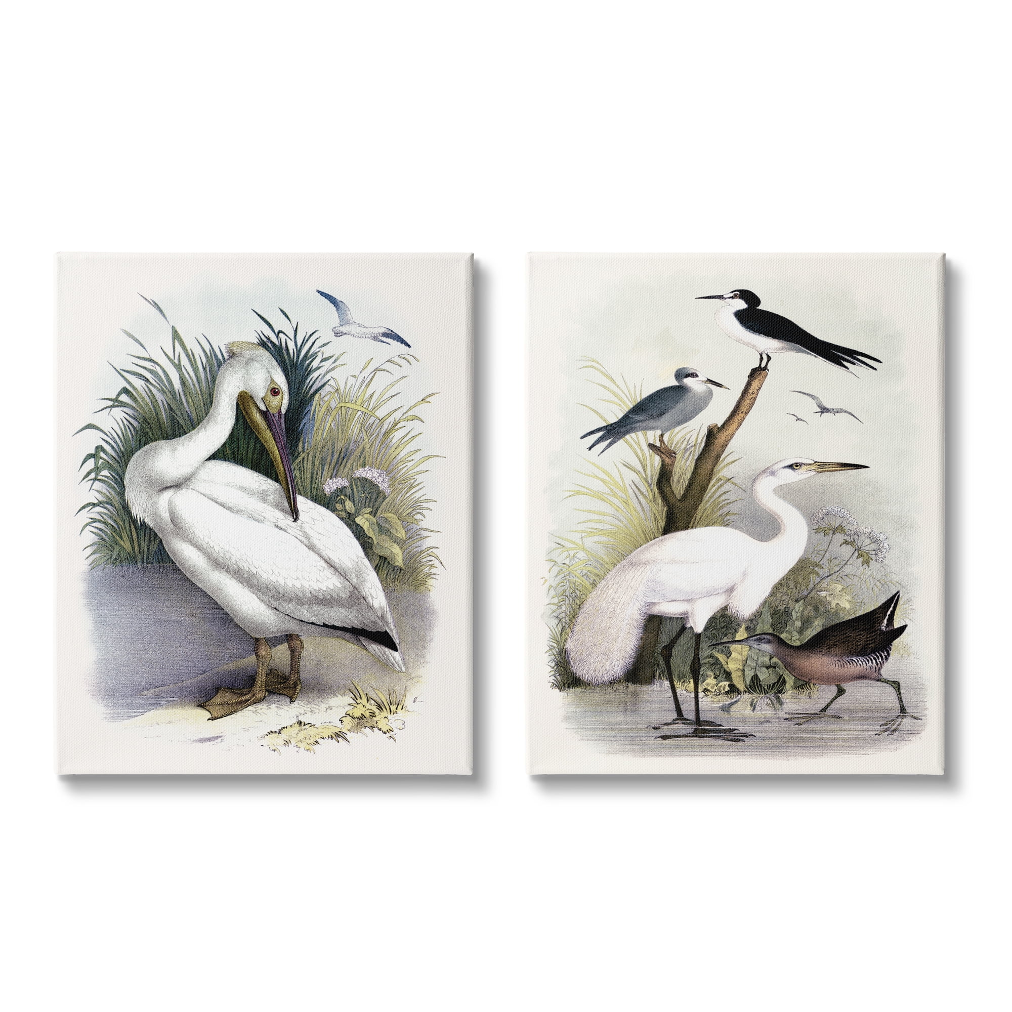 Stupell Industries Wild Pelican Birds Avian Waterside Landscape Graphic Art Gallery Wrapped Canvas Print Wall Art, Set of 2, Design by Piddix