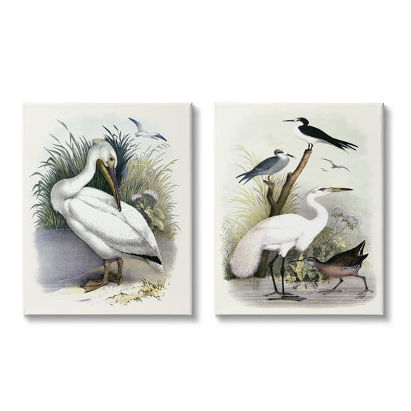 Stupell Industries Wild Pelican Birds Avian Waterside Landscape Graphic Art Gallery Wrapped Canvas Print Wall Art, Set of 2, Design by Piddix