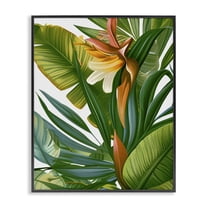 Stupell Industries Wild Rainforest Flower Floral Painting Black Framed Art Print Wall Art, 11 x 14