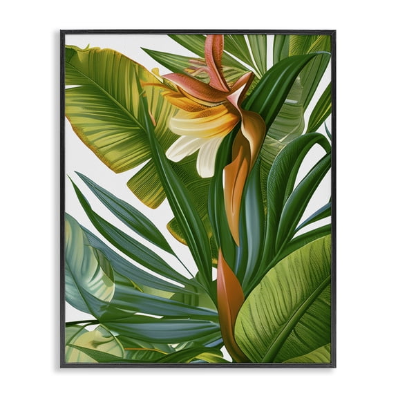 Stupell Industries Wild Rainforest Flower Floral Painting Black Framed Art Print Wall Art, 11 x 14