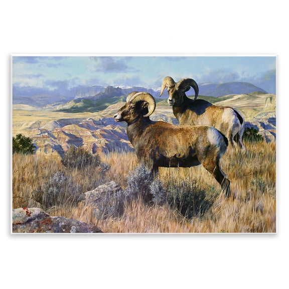 Stupell Industries Wild Rams Torrey Canyon Landscape & Nature Painting Unframed Art Print Wall Art, 19 x 13