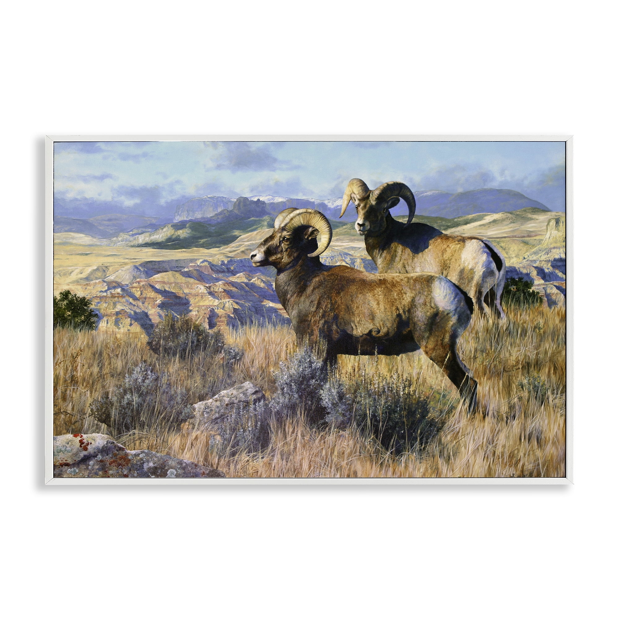 Stupell Industries Wild Rams Torrey Canyon Landscape & Nature Painting White Framed Art Print Wall Art, 18 x 12