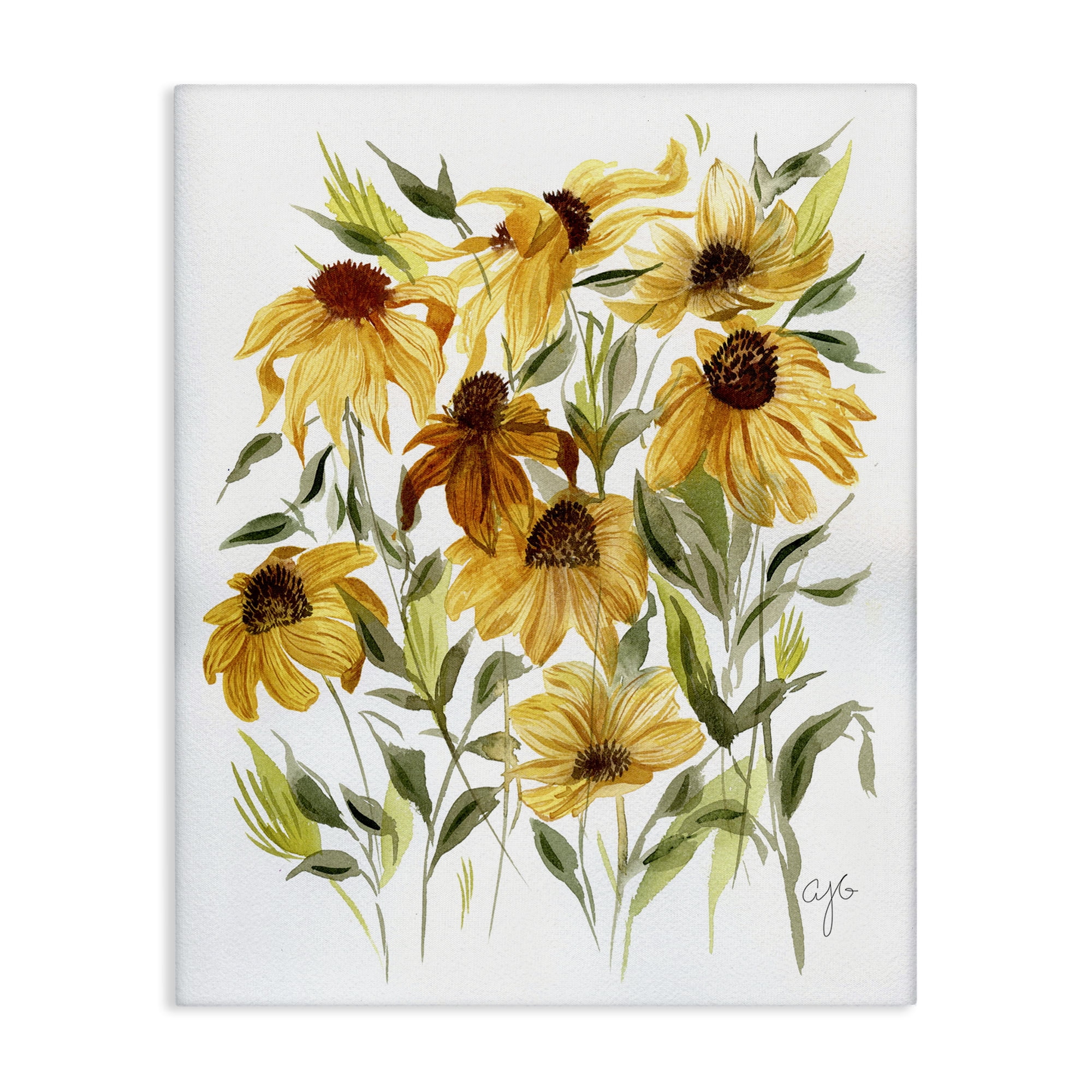 Stupell Industries Wild Rudbeckia Flowers Botanical & Floral Painting Gallery Wrapped Canvas Art Print Wall Art, 36 x 48