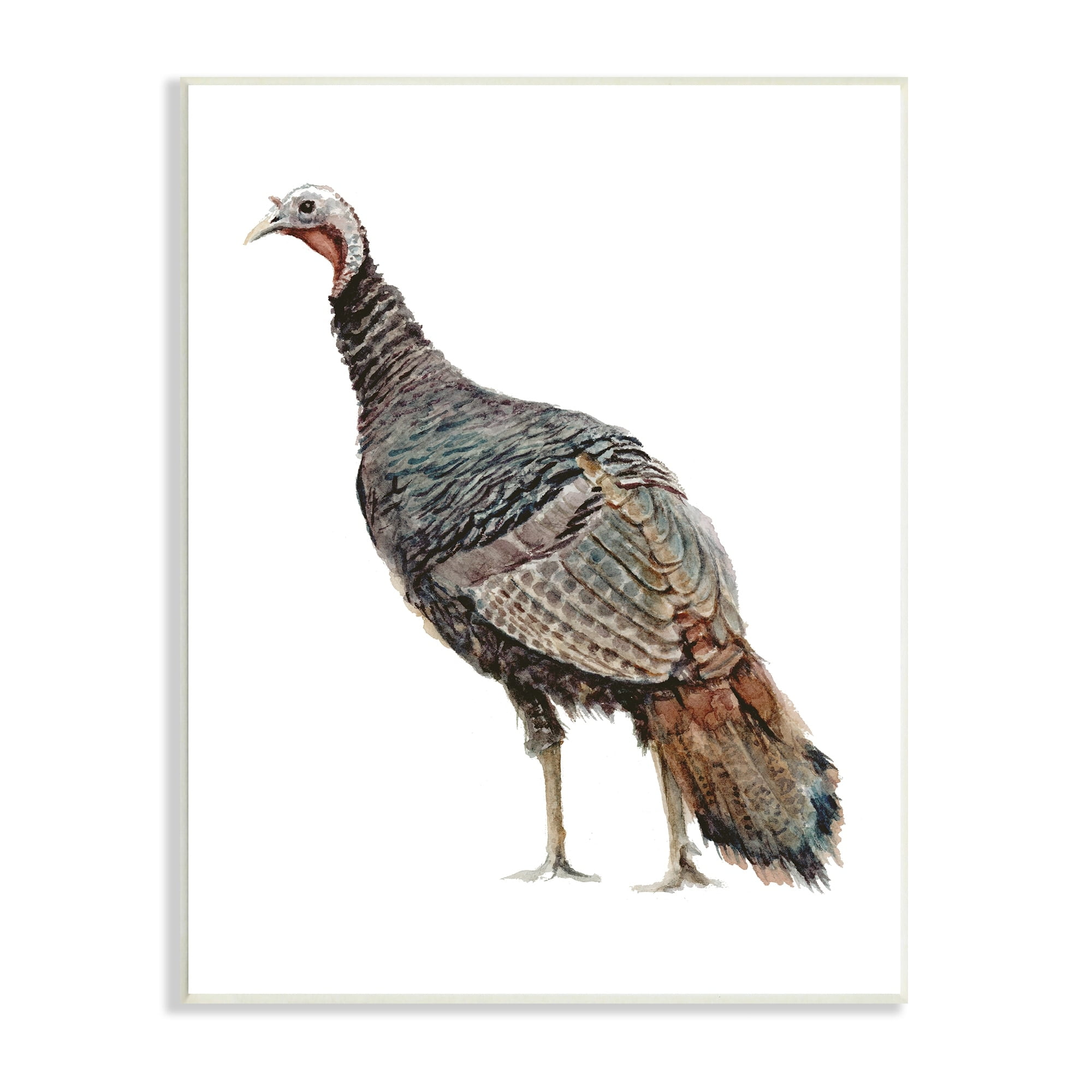Stupell Industries Wild Turkey Bird Watercolor Painting Kids' Nursery Animal, 13 x 19,Design by Fox Hollow Studios