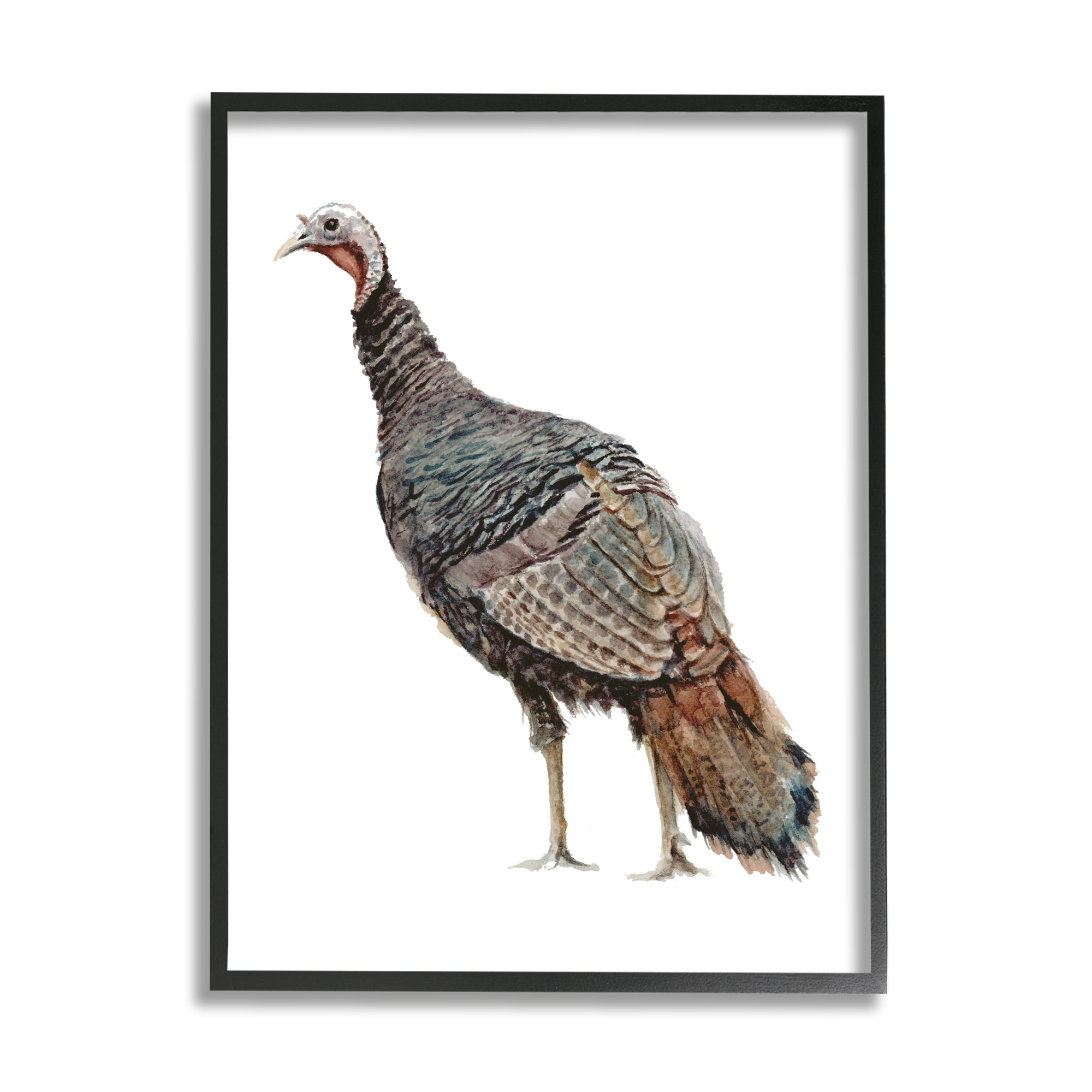 Stupell Industries Wild Turkey Bird Watercolor Painting Kids' Nursery Animal, 24 x 30,Design by Fox Hollow Studios