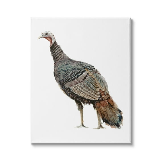 Stupell Industries Wild Turkey Bird Watercolor Painting Kids' Nursery Animal, 30 x 40,Design by Fox Hollow Studios