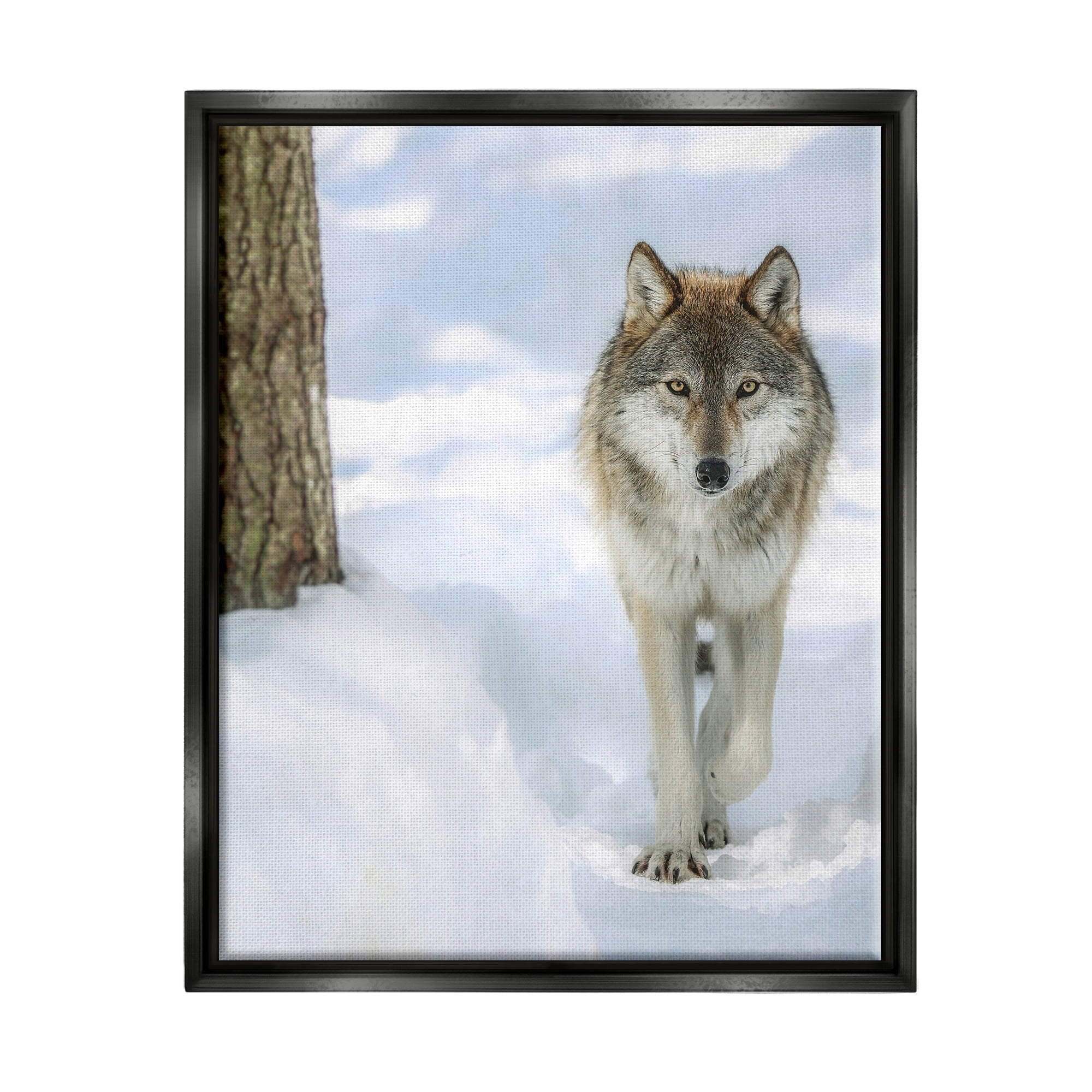 Stupell Industries Wild Wolf Winter Snow Photography Animals & Insects Photography Black Floater Framed Art Print Wall Art
