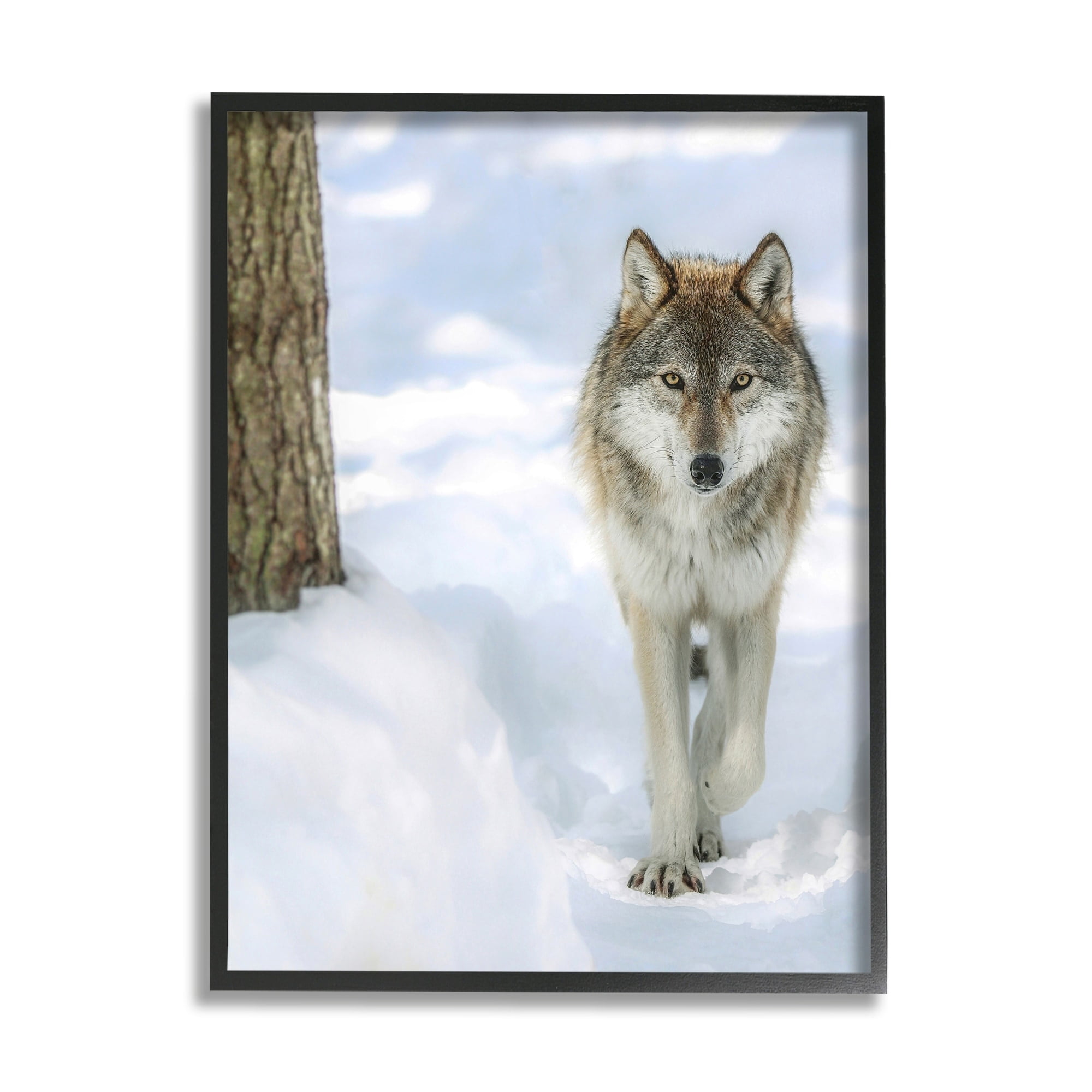 Stupell Industries Wild Wolf Winter Snow Photography Animals & Insects Photography Black Framed Art Print Wall Art