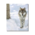 thumbnail image 1 of Stupell Industries Wild Wolf Winter Snow Photography Animals & Insects Photography Gallery Wrapped Canvas Print Wall Art, 1 of 5
