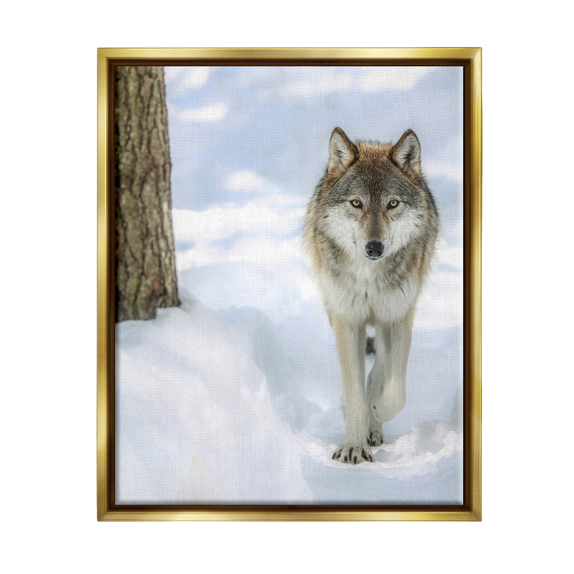 Stupell Industries Wild Wolf Winter Snow Photography Animals & Insects Photography Gold Floater Framed Art Print Wall Art