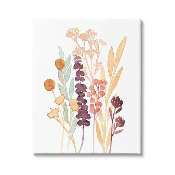 Stupell Industries Wildflower Botanicals Layered Herbs Graphic Art Gallery Wrapped Canvas Print Wall Art, Design by Annie Warren