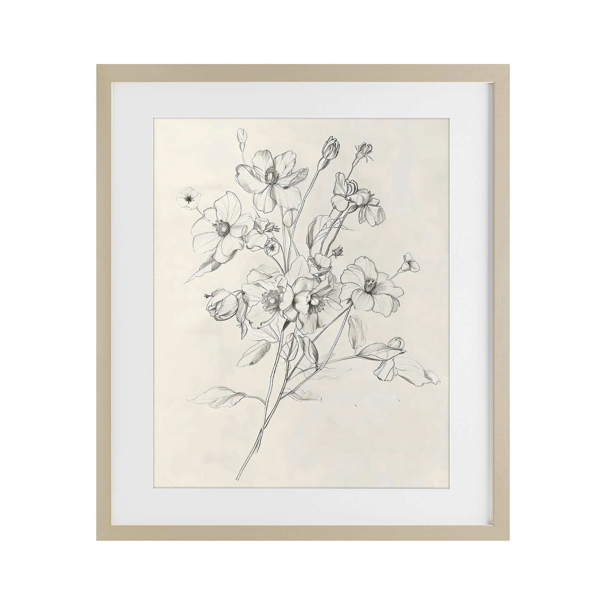 Stupell Industries Wildflower Outline Study Birch Framed Print Under Glass, design by Creative Studio