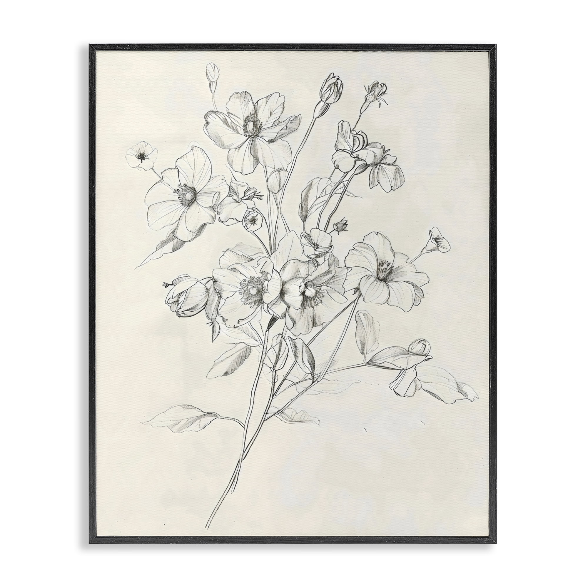 Stupell Industries Wildflower Outline Study Black Framed Giclee Art, design by Creative Studio