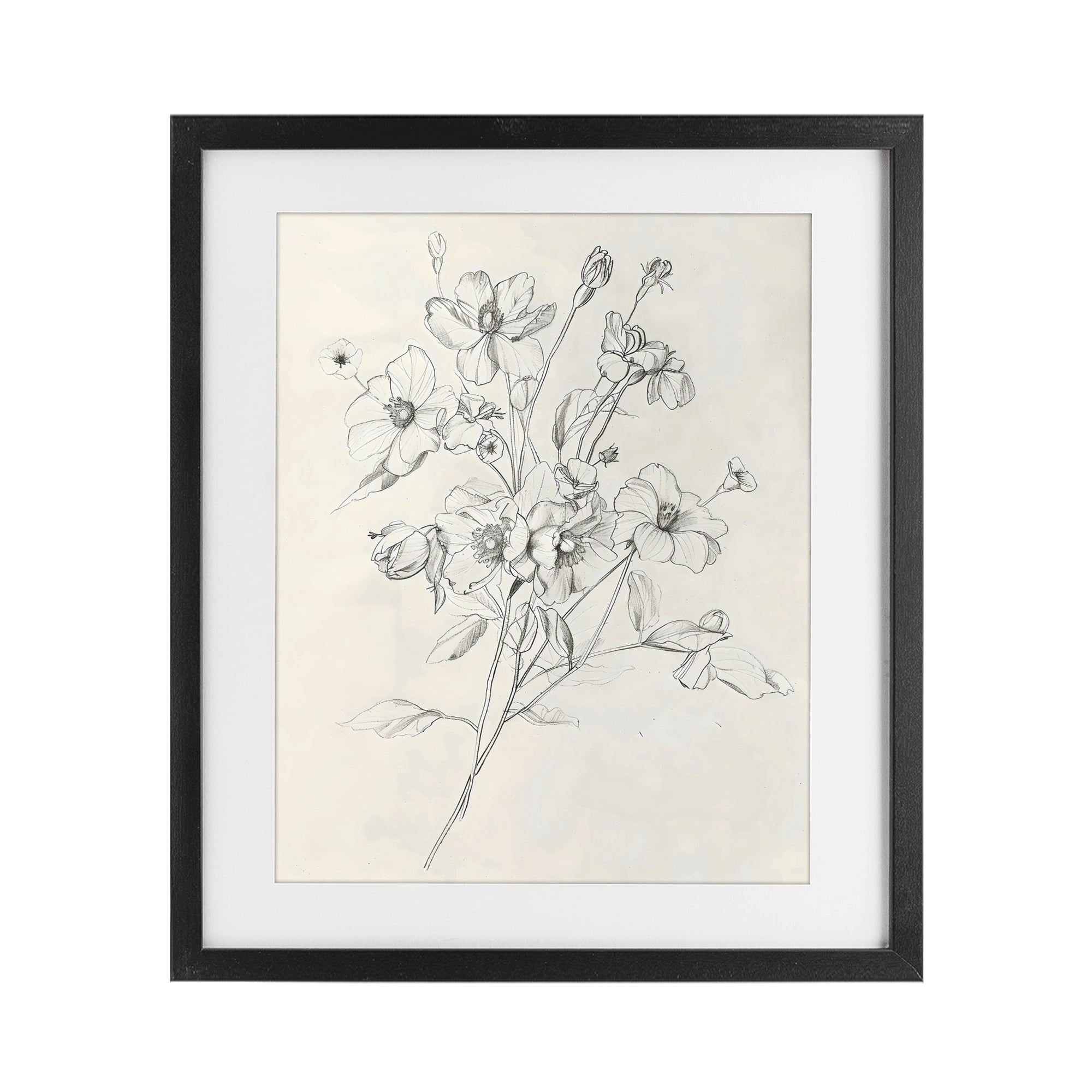 Stupell Industries Wildflower Outline Study Black Framed Print Under Glass, design by Creative Studio