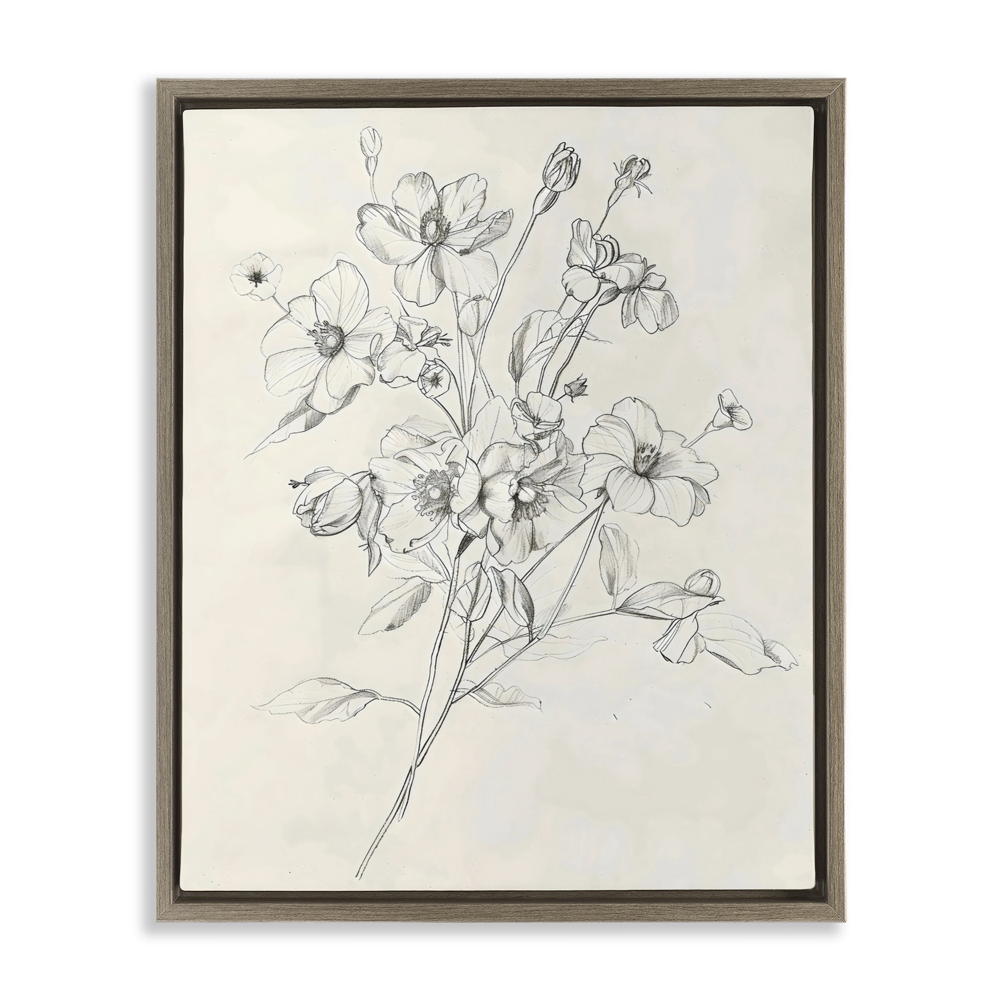 Stupell Industries Wildflower Outline Study Brown Framed Floater Canvas Wall Art, design by Creative Studio