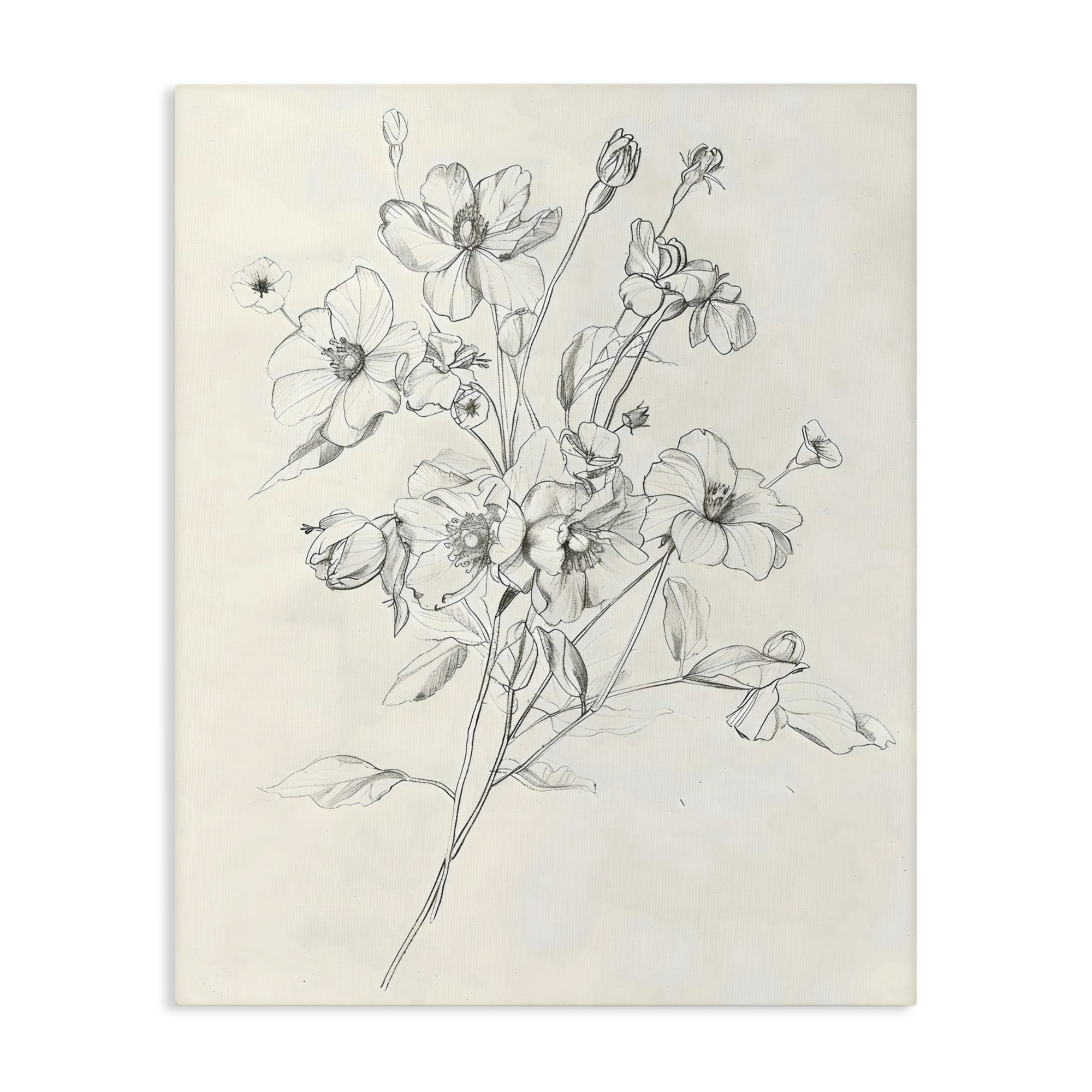 Stupell Industries Wildflower Outline Study Canvas Wall Art, design by Creative Studio