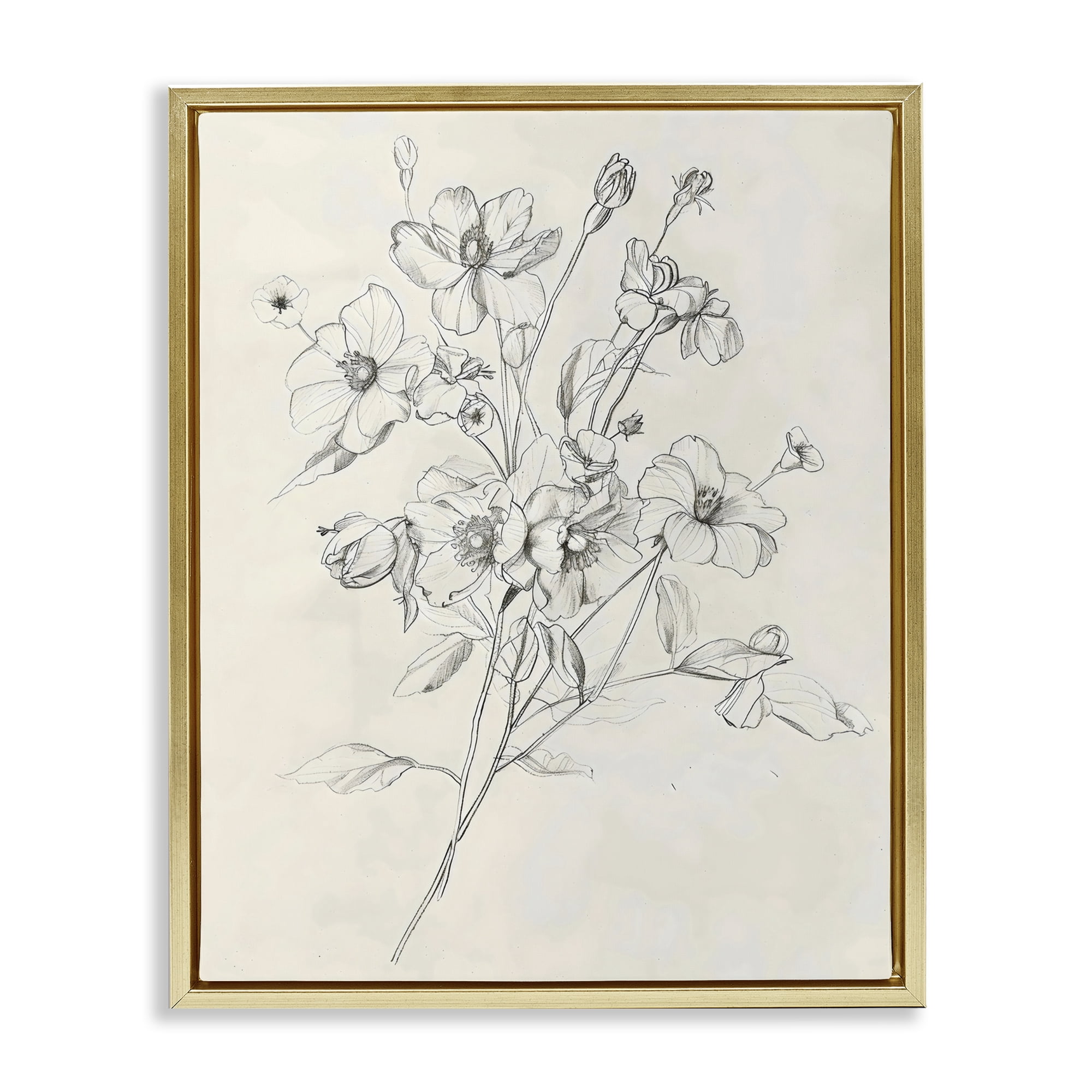 Stupell Industries Wildflower Outline Study Gold Framed Floater Canvas Wall Art, design by Creative Studio