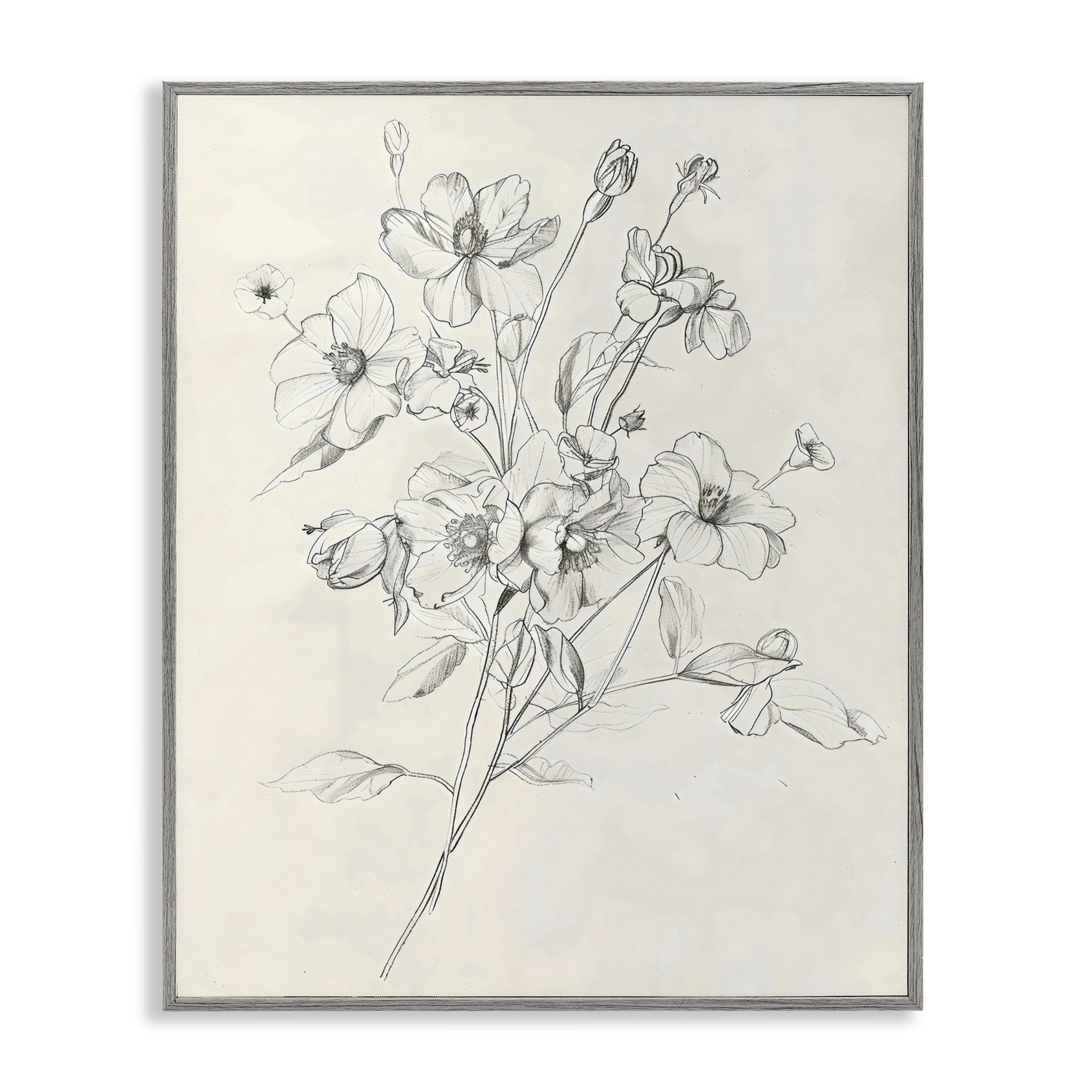 Stupell Industries Wildflower Outline Study Gray Framed Giclee Art, design by Creative Studio