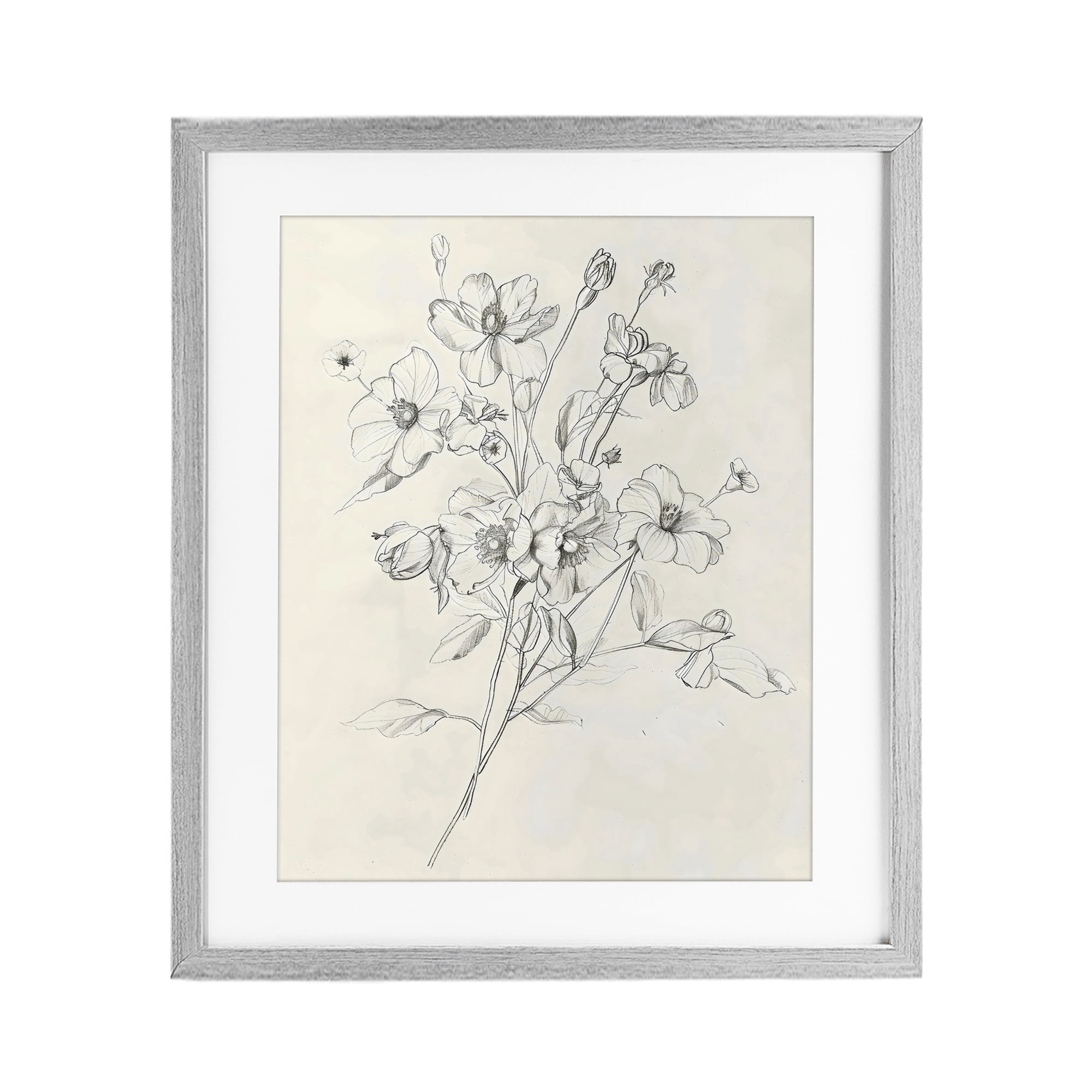Stupell Industries Wildflower Outline Study Gray Framed Print Under Glass, design by Creative Studio