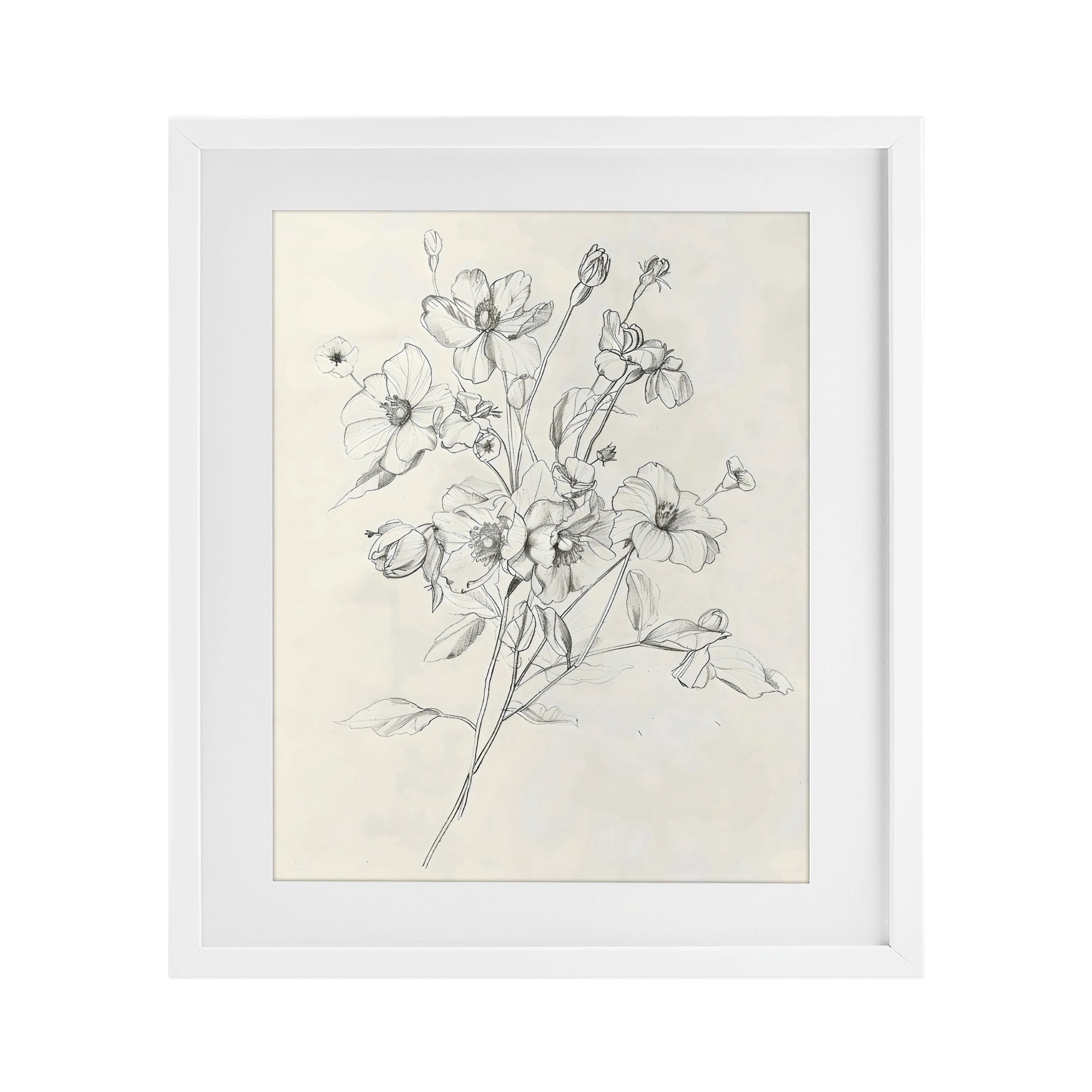 Stupell Industries Wildflower Outline Study White Framed Print Under Glass, design by Creative Studio