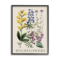 Stupell Industries Wildflower Species Study Botanical & Floral Painting Black Framed Art Print Wall Art, 11 x 14