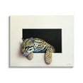 thumbnail image 1 of Stupell Industries Wildlife Ocelot Resting Paws Cutout Illusion Painting Gallery Wrapped Canvas Print Wall Art, Design by Alan Weston, 1 of 7