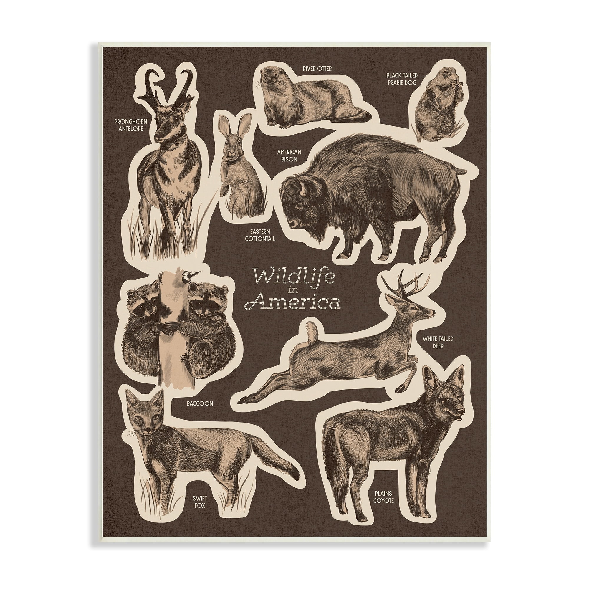 Stupell Industries Wildlife Of America Mixed Animals Chart Brown Background Wood Wall Art, 13 x 19, Design by Lil' Rue