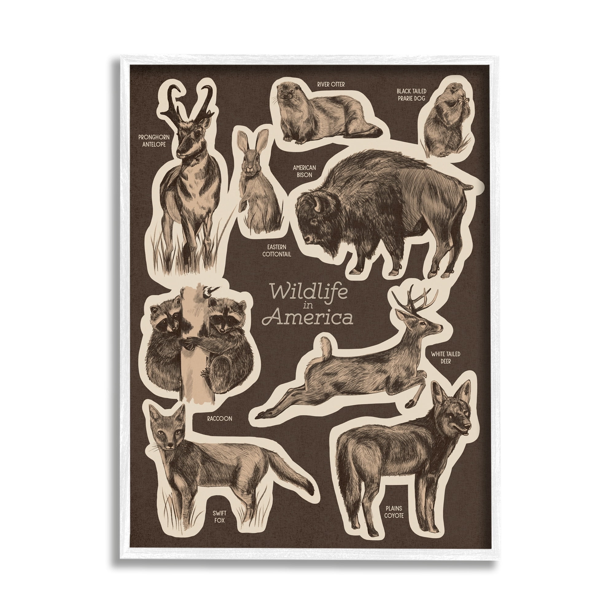 Stupell Industries Wildlife Of Mixed Animals Chart Brown Background Framed Wall Art, 11 x 14, Design by Lil' Rue