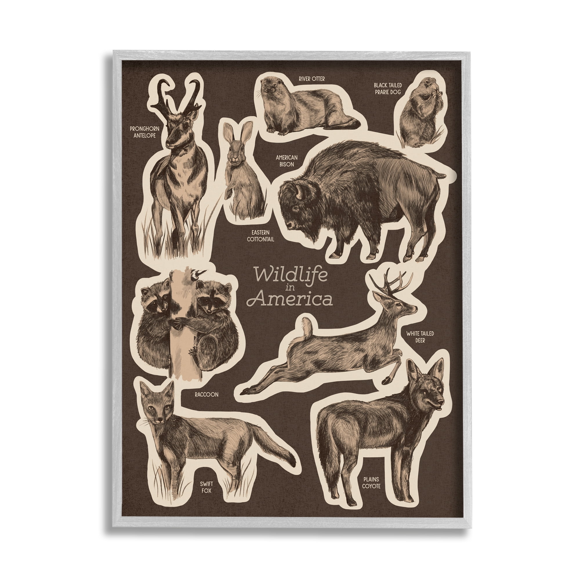 Stupell Industries Wildlife Of Mixed Animals Chart Brown Background Framed Wall Art, 11 x 14, Design by Lil' Rue