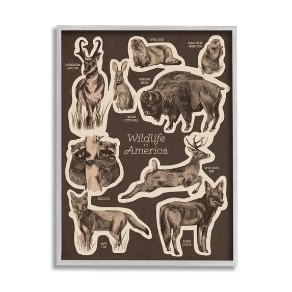 Stupell Industries Wildlife Of Mixed Animals Chart Brown Background Framed Wall Art, 11 x 14, Design by Lil' Rue